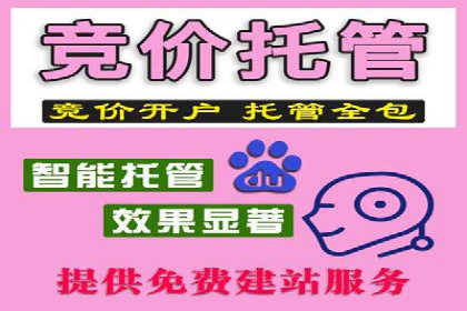 精准营销的秘诀：专业SEM托管的成功故事分享